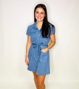 Fonde Denim Dress